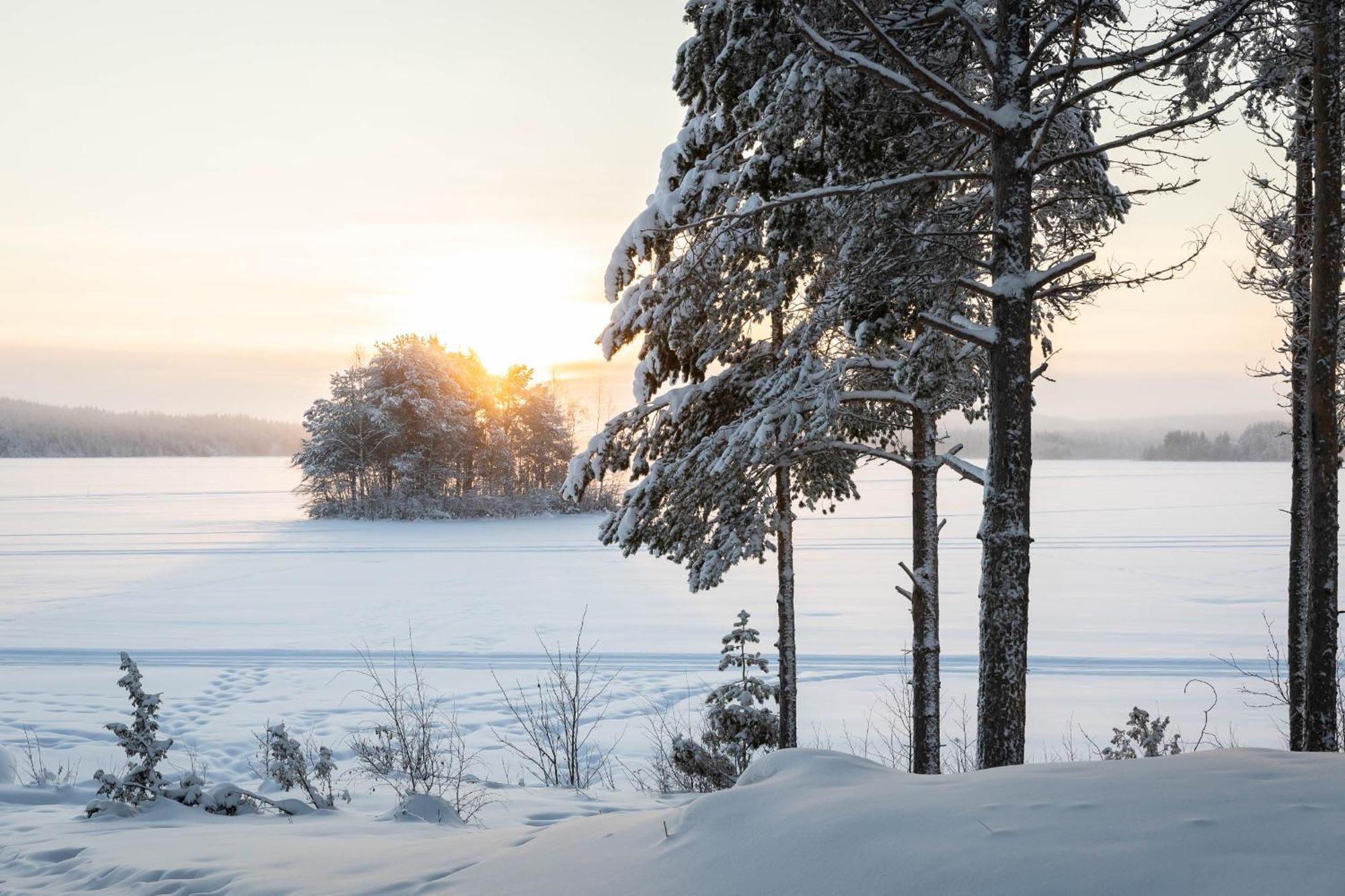 Lapland Arctic Cabins 케미야르비 외부 사진