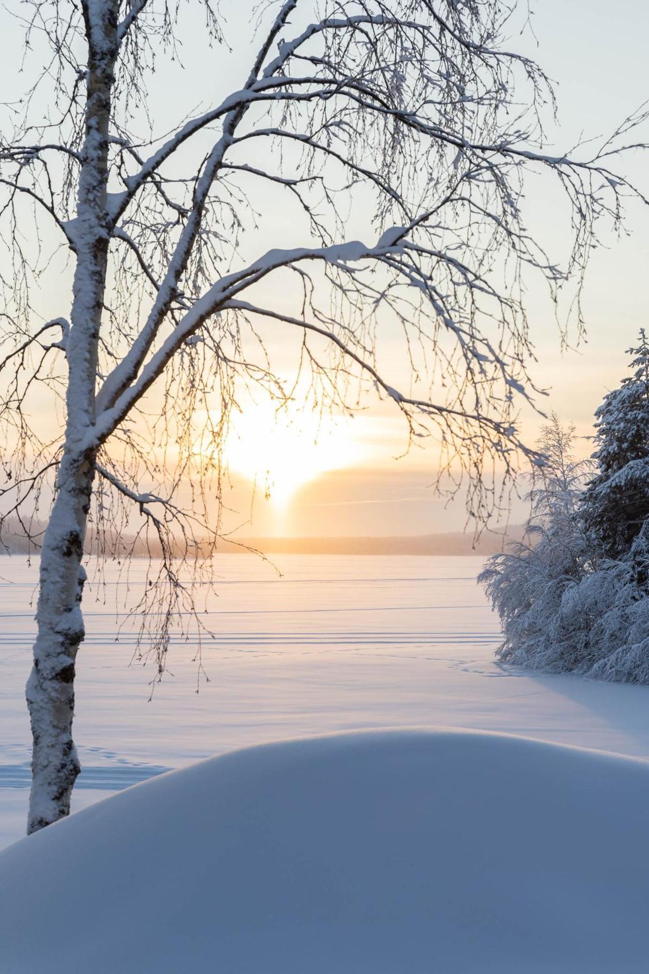 Lapland Arctic Cabins 케미야르비 외부 사진